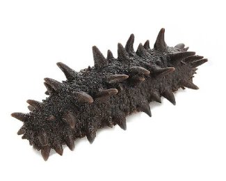 Other Marine Peptide