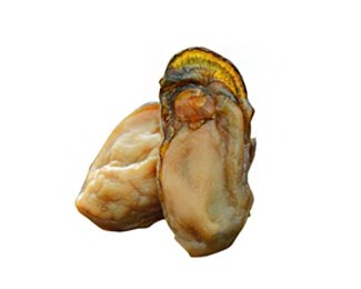 Oyster Peptide